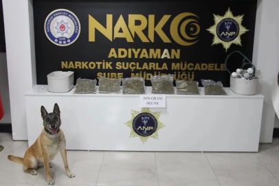 Adıyaman'da suç ve uyuşturucuya 28 tutuklama