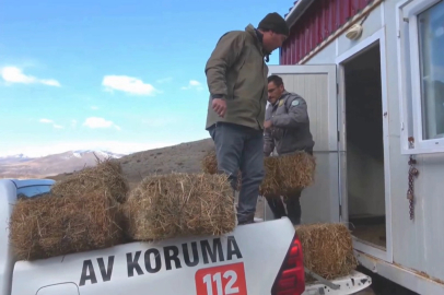 Niğde Demirkazık’ta yaban hayatına kış desteği