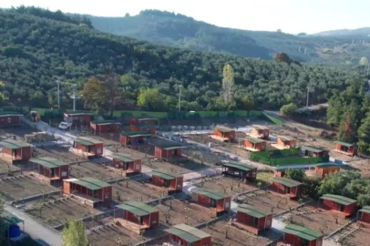 Tarım arazileri için yeni dönem! Amaç dışı kullanıma sıkı denetim